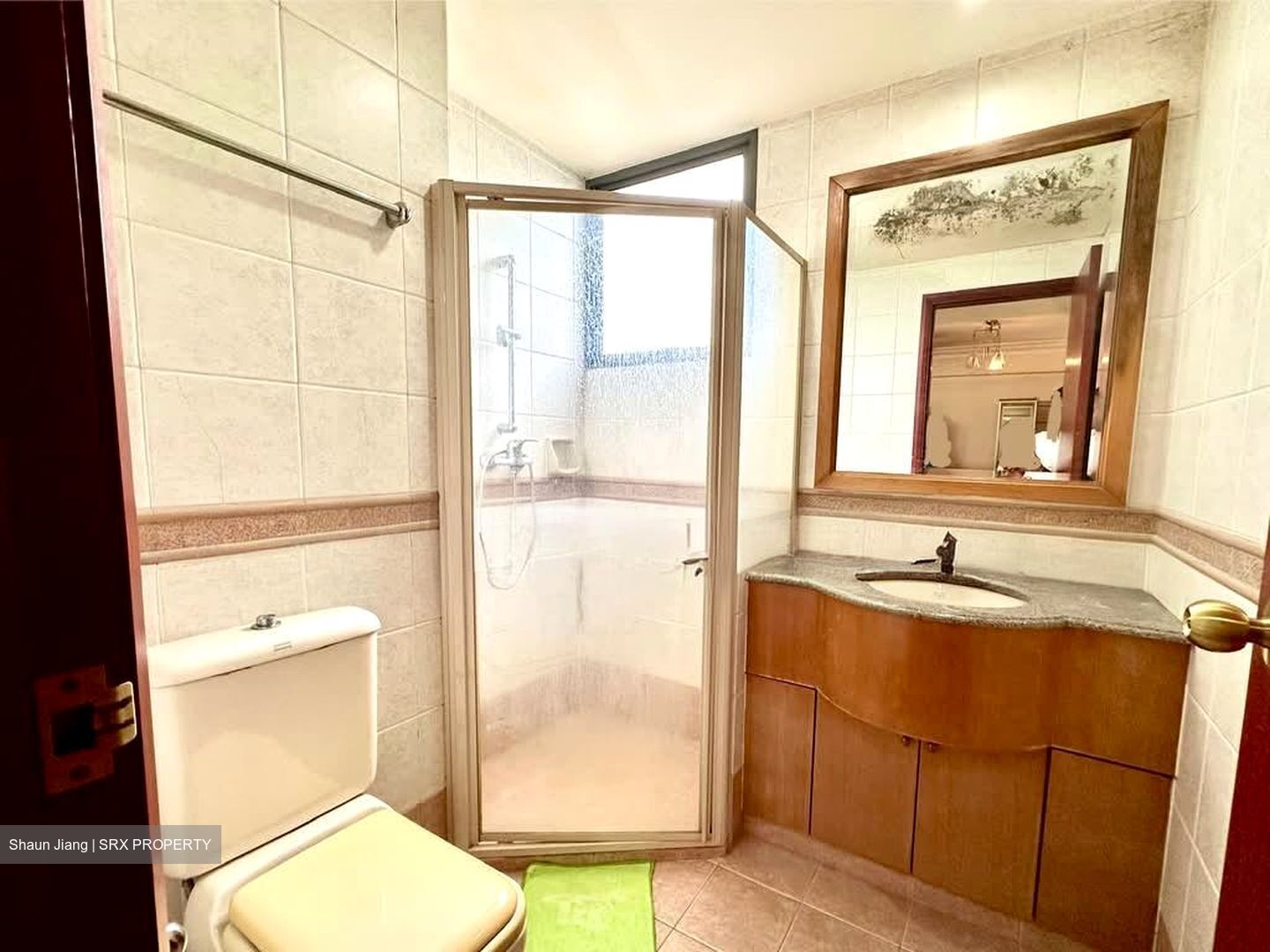 Central View (D19), Condominium #532343651
